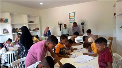 محافظ أسوان يتابع تنفيذ سلسلة من الأنشطة والفعاليات بقرى 