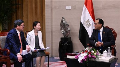 مدبولي يلتقي رئيس شركة 