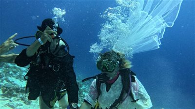 سائحان مسنان يحتفلان بزفافهما في أعماق البحر بالغردقة