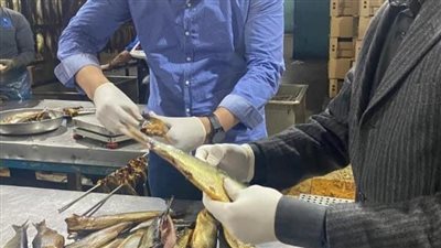 ضبط 6 طن و700 كيلو سلع غير صالحة للاستخدام الآدمي بالغربية 