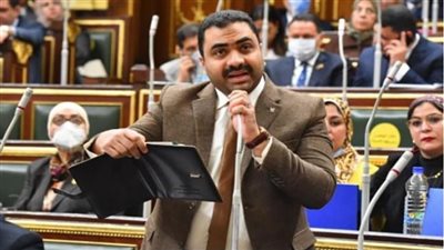 برلماني في سؤال للحكومة: أسعار اللحوم لا تزال مرتفعة رغم انخفاض طن الأعلاف