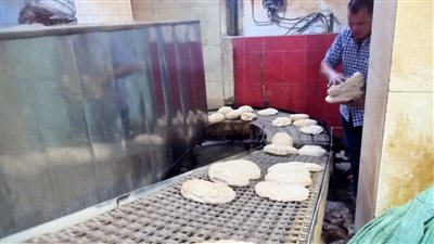 كفرالشيخ: تحرير 7 محاضر مخالفات تموينية بقلين