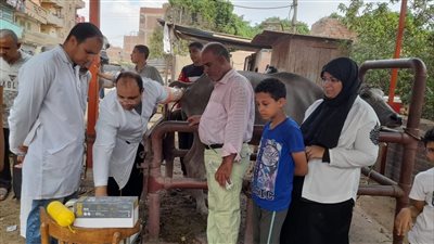 بحوث الصحة الحيوانية ينظم قافلة بيطرية مجانية لمحافظة الفيوم 