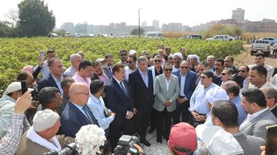 محافظ المنوفية ووزير الزراعة يفتتحان موسم جني القطن 