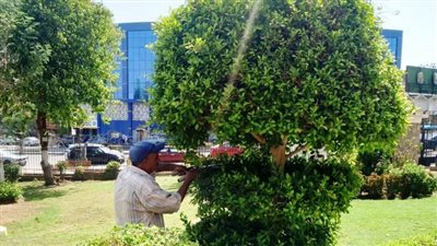 تكثيف أعمال النظافة العامة ورفع التراكمات والمخلفات بأسوان