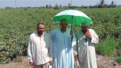 شاهد|نقيب فلاحين الشرقية: نتعرض لتجاهل غير مقبول من محافظ الإقليم 