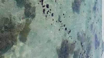 ظهور بقع زيت بشواطئ رأس غارب بالبحر الأحمر 