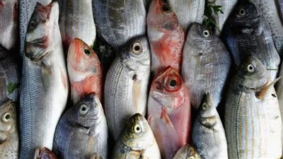 أسعار السمك اليوم الأحد في سوق العبور 