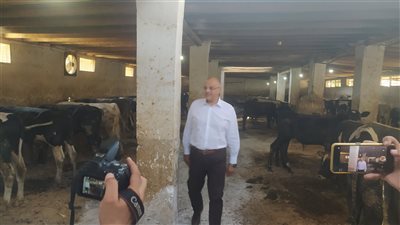 محافظ القليوبية يتفقد مزرعتى إنتاج حيواني وألبان بطوخ