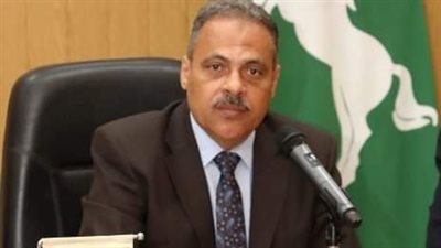 حماية المستهلك تُحرر 261 محضرًا ضد أنشطة تجارية مخالفة بالشرقية