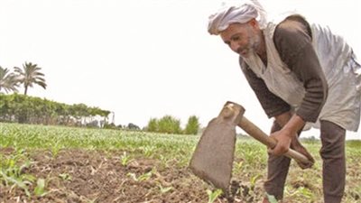 الزراعة: الفلاح يساهم في تحقيق التنمية بشكل عام بمصر