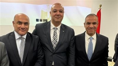 الاتحاد العام للمصريين في الإمارات يقدم مقترحات لوزير الخارجية والهجرة لحل أزمة الدولار والتحويلات بمصر