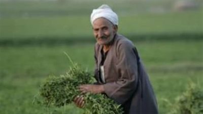 استثمارات ضخمة وخدمات متكاملة.. الدولة المصرية تستثمر في الفلاح 