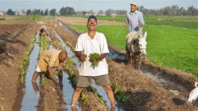 من عرابي إلى عصرنا.. الفلاح المصري رمز الصمود والبناء