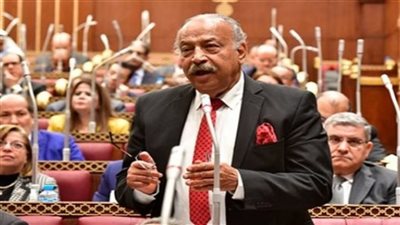 هاني العسال: ترشيد الإنفاق وتنفيذ المشروعات القومية تحدي يستلزم استحداث آليات تمويل جديدة 