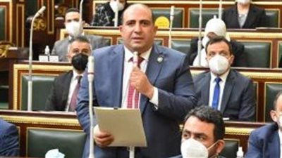 وكيل أفريقية النواب: اختيار مصر مقراً للوكالة العربية للدواء تقدير للصناعة المصرية