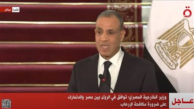 عبد العاطي: الرئيس السيسي ووزير الخارجية الدنماركي ناقشا العديد من القضايا الإقليمية والدولية