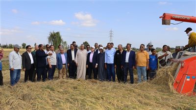 افتتاح موسم حصاد الأرز بمزرعة ميت علوان بكفرالشيخ