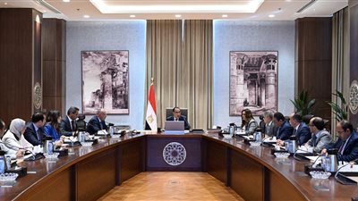 رئيس الوزراء يبحث وضع حلول مستدامة لمشكلات ترعة الإسماعيلية وفروعها    