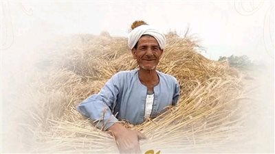 الحوار الوطني يُهنئ الفلاح المصري بعيده الـ72.. دوره مستمر في تعزيز الاقتصاد الوطني