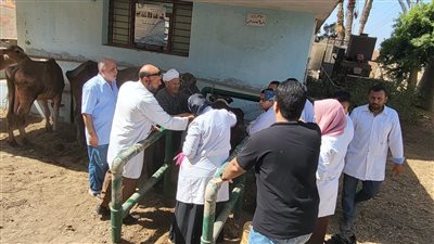  بيطري القليوبية ينظم قافلة للكشف والعلاج بالمجان