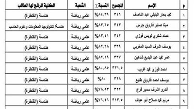 جنوب سيناء تعلن المنح المجانية الجامعية للعام الدراسي 2024 - 2025