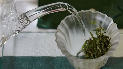 من بينها الوقاية من الزهايمر.. فوائد تناول الشاي الأخضر وحيل تعزز تأثيره