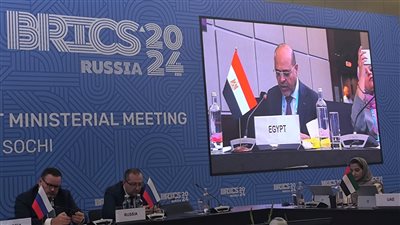   وزير العمل يستعرض جهود مصر وتوجيهات الرئيس السيسي للحماية الاجتماعية