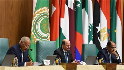   وزير الخارجية اليمني: شعب فلسطين يواجه حرب إبادة جماعية وتطهير عرقي غير مسبوق