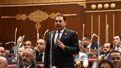 النائب فرج فتحي: الدولة المصرية تبذل جهود دؤوبة  لحفظ الاستقرار الإقليمي