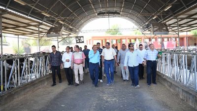 محافظ قنا يطلع على مشروعات الأمن الغذائي المملوكة للمحافظة 