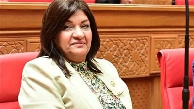 النائبة ايفلين متى تتقدم باقتراح برغبة لإنتاج جهاز صغير يشحن برصيد يوضع بالسيارة عند المرور من البوابات