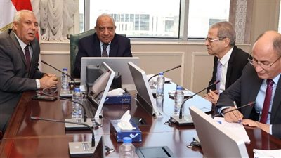 وزير الكهرباء ومحافظ الوادي الجديد يبحثان تدعيم قطاع الكهرباء 