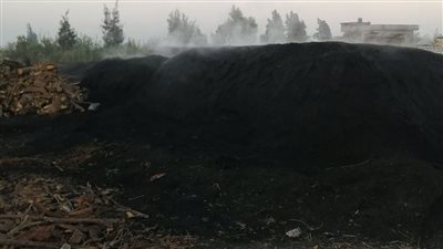 مكامير الفحم بالدقهلية كارثة بيئية تهدد حياة المواطنين