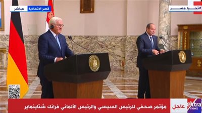 الرئيس الألماني يشيد بانطلاق الحوار الوطني في مصر (شاهد)