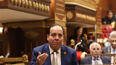 برلماني يشيد بقرارات تشكيل المجموعة الوزارية لريادة الأعمال 