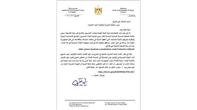  توجيهات جديدة من الدولة المصرية لإدارة الجالية المصرية في أوكرانيا.. تفاصيل