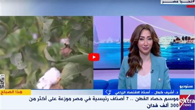 أستاذ اقتصاد: زيادة ملحوظة في مساحة الأراضي المزروعة بالقطن العام الجاري