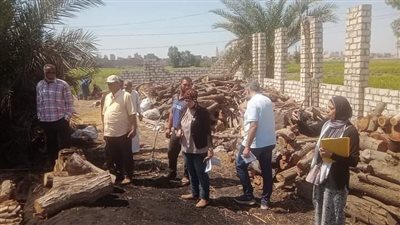 لجنة حظر تشغيل مكامير الفحم العشوائية تختتم أعمالها بمركز المحلة