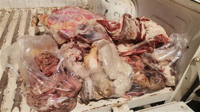ضبط 541 كيلو لحوم غير صالحة للاستهلاك بالفيوم 