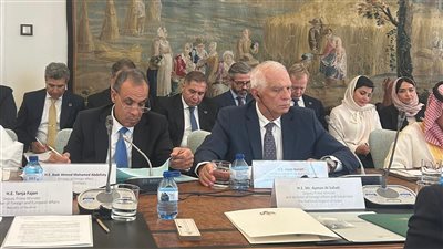 وزير الخارجية يشارك في الاجتماع الوزاري حول القضية الفلسطينية وتنفيذ حل الدولتين