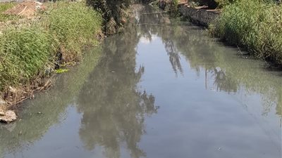  أراضي دمياط مهددة بالبوار بسبب مياه الصرف الصحي