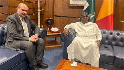 وزير الخارجية التشادي يستقبل السفير المصري لتعزيز التعاون بين البلدين