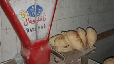 تحرير 25 محضرًا لمخابز بلدية بقرى تلا بالمنوفية 