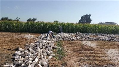 إزالة 10 حالات تعد على أملاك الدولة بالبحيرة