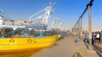 تنمية البحيرات والثروة السمكية يعلن انطلاق موسم الصيد 2024 في خليج السويس