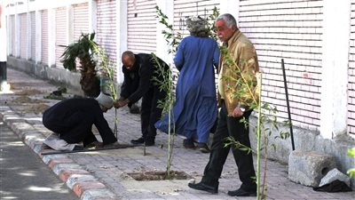 للحد من الانبعاثات الكربونية.. قنا تدرس غرس مليون شجرة 