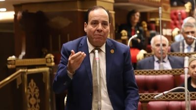 برلماني: مبادرة «ابدأ» نموذج وطني يعزز الصناعة ويخلق فرص عمل جديدة