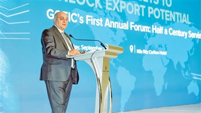 حزمة حوافز لتنشيط الاستثمار 