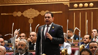 فرج فتحي: تطور العلاقات المصرية – السعودية ينعكس بشكل إيجابي على القضايا العربية والإقليمية